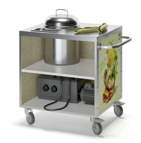 Тележка для уличной торговли ТДУ 700x600x870